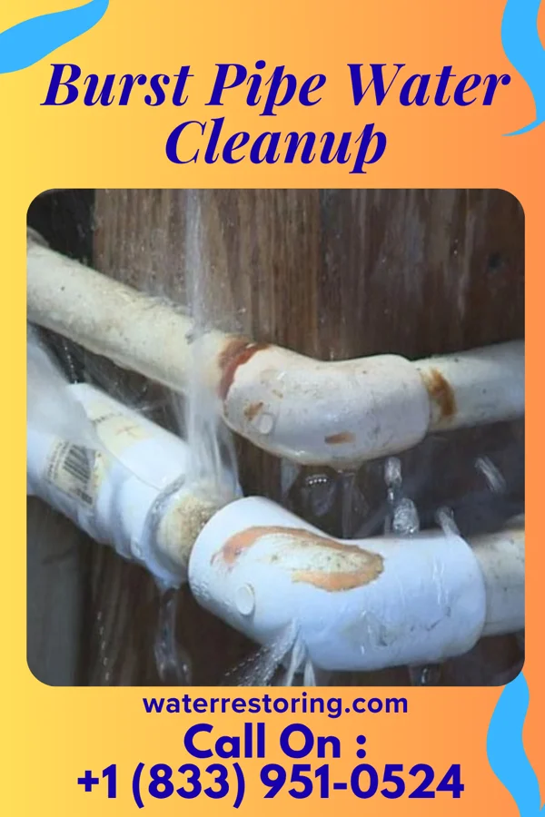 Burst Pipe Water Cleanup in West Hill, OH