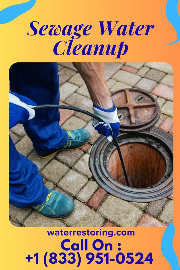 Sewage Water Cleanup in West Hill, OH